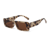Small Frame Square Sunglasses