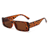 Small Frame Square Sunglasses