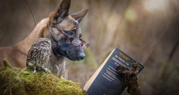 readers glasses