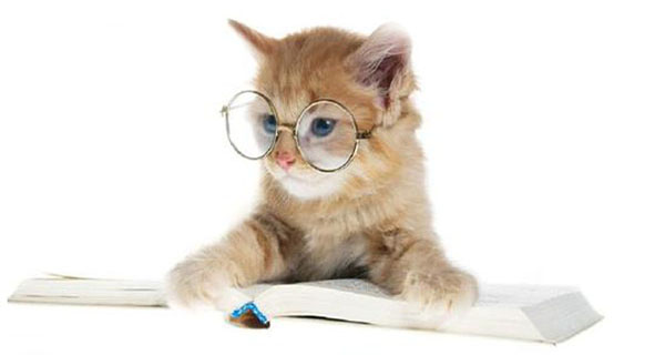 readers glasses3
