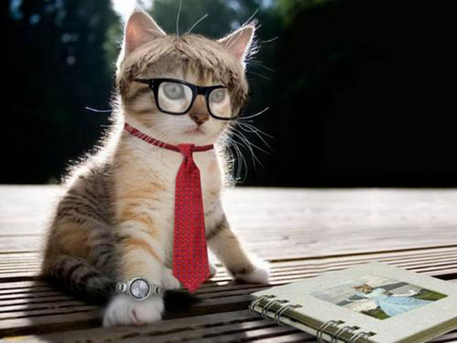 How to choose reading glasses?